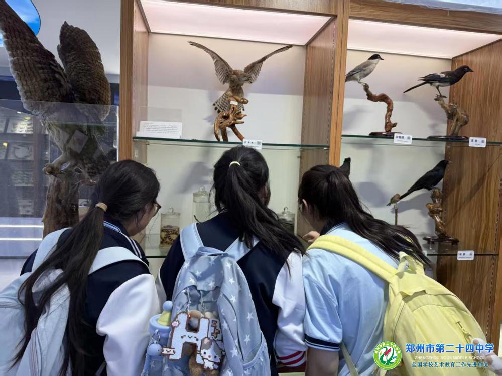 91bbcdc9add70d133903dfdbdc7007f2