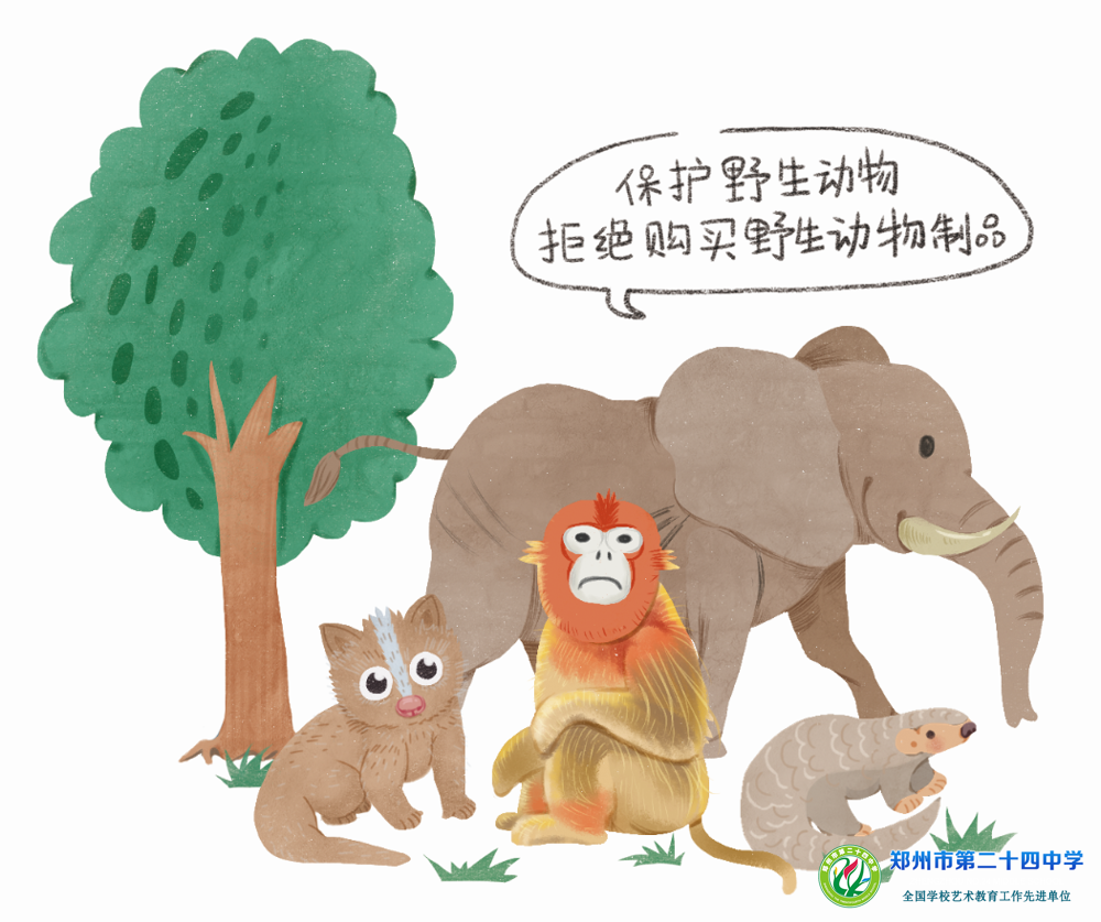 35e3e11bf7a1b81ccebe12d1e2dc4a50